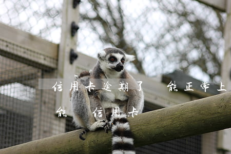信用卡逾期了還能正常上班嗎(正在逾期中還能辦信用卡嗎)