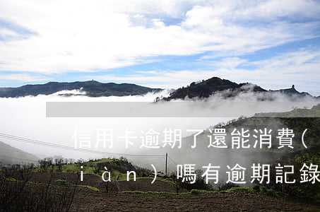 信用卡逾期了還能消費(fèi)提現(xiàn)嗎(有逾期記錄信用卡還可以提額嗎)