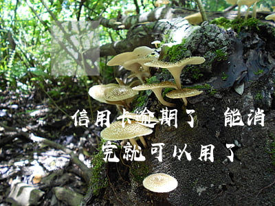 信用卡逾期了還能消費嗎(信用卡逾期是不是還完就可以用了?)
