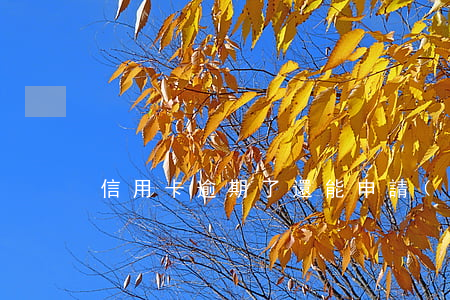 信用卡逾期了還能申請(qǐng)代還嗎