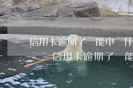 信用卡逾期了還能申請什么網(wǎng)貸-信用卡逾期了還能申請什么網(wǎng)貸呢