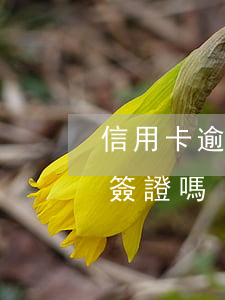信用卡逾期了還能簽證嗎(信用卡逾期了還能簽證嗎)