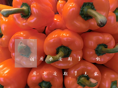 信用卡逾期了還能繼續(xù)借款嗎(還信用卡逾期了怎么辦)