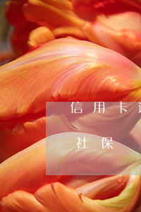 信用卡逾期了還能買社保(信用卡逾期可以買社保嗎?)