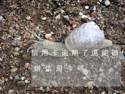 信用卡逾期了還能辦什么(有逾期已還清可以辦信用卡嗎)
