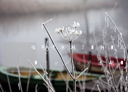 信用卡逾期了還能辦存儲(chǔ)卡嗎(有過(guò)逾期還能辦信用卡嗎)