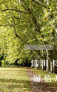 信用卡逾期了還能辦普卡么(逾期了還能不能辦信用卡)