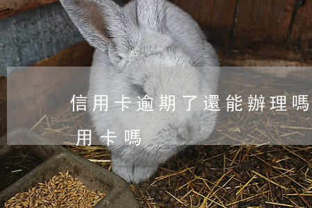 信用卡逾期了還能辦理嗎(有逾期還可以辦信用卡嗎)
