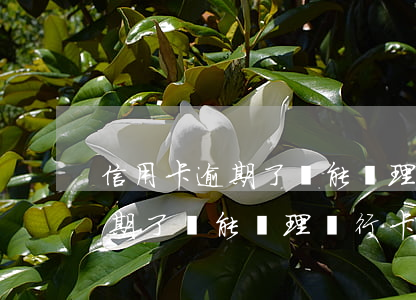 信用卡逾期了還能辦理銀行卡么-信用卡逾期了還能辦理銀行卡么