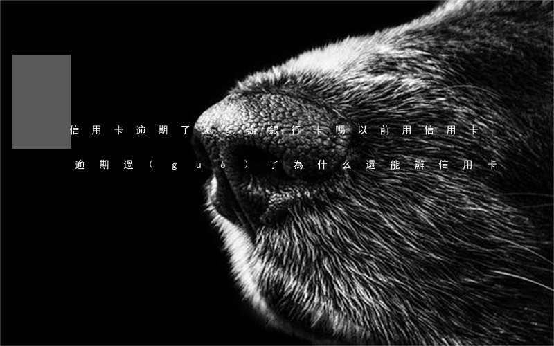 信用卡逾期了還能辦銀行卡嗎(以前用信用卡逾期過(guò)了為什么還能辦信用卡)