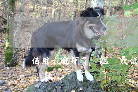 信用卡逾期了還能還最低還款額(逾期后還能還款嗎)