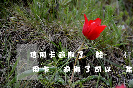 信用卡逾期了還能還進(jìn)去嘛(欠信用卡錢逾期了可以幾年再還嗎?)