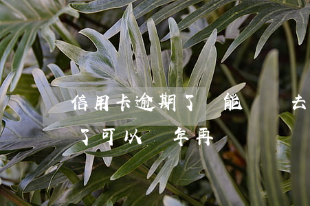 信用卡逾期了還能還進去嘛(欠信用卡錢逾期了可以幾年再還嗎?)