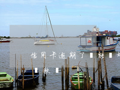 信用卡逾期了還能離婚嗎(有信用卡逾期還能貸款嗎)