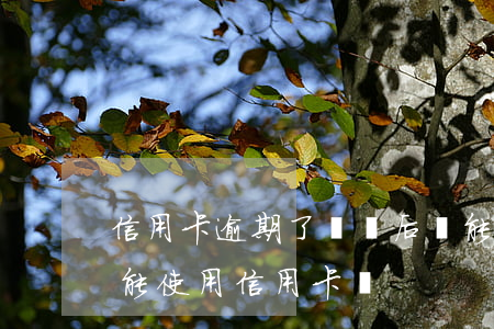 信用卡逾期了還錢后還能用嗎(逾期還清后還能使用信用卡嗎)