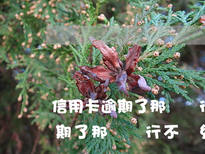 信用卡逾期了那個銀行不減免利息（信用卡逾期了那個銀行不減免）