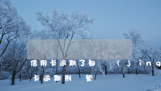 信用卡逾期了都會經(jīng)偵嗎(信用卡逾期刑偵管嗎)