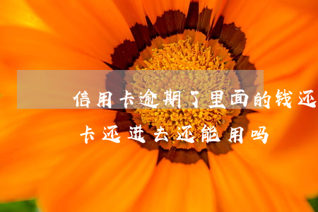 信用卡逾期了里面的钱还能用吗(逾期的信用卡还进去还能用吗)