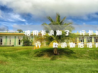 信用卡逾期了銀行卡被凍結(jié)了-銀行貸款逾期后信用卡凍結(jié)了怎么辦