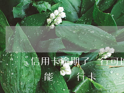 信用卡逾期了銀行可以做什么(有信用卡逾期還能辦銀行卡嗎)