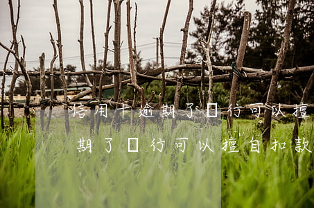 信用卡逾期了銀行可以擅自扣款嗎(信用卡逾期了銀行可以擅自扣款嗎怎么投訴)