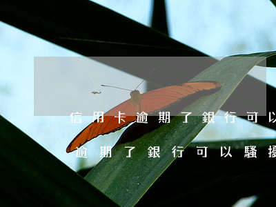 信用卡逾期了銀行可以騷擾家人嗎-信用卡逾期了銀行可以騷擾家人嗎?