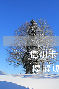 信用卡逾期了銀行提醒嗎(信用卡逾期了銀行提醒嗎)