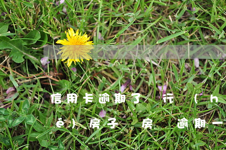 信用卡逾期了銀行會(huì)凍結(jié)房子嗎(房貸逾期一個(gè)月信用卡被凍結(jié))