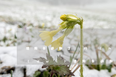 信用卡逾期了銀行會(huì)怎么催收 對(duì)信用卡逾期催收這種工作好干么