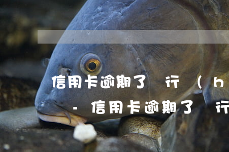 信用卡逾期了銀行會(huì)通知家里人嗎-信用卡逾期了銀行會(huì)通知家里人嗎怎么辦