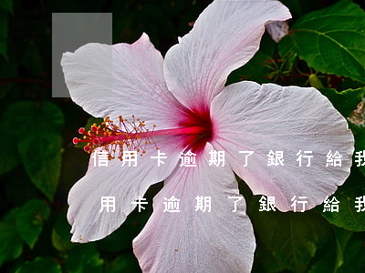 信用卡逾期了銀行給我凍結(jié)了(信用卡逾期了銀行給我凍結(jié)了微信)