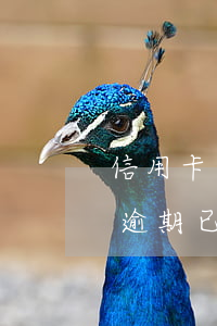 信用卡逾期了銀行能協(xié)商嗎(他行逾期已協(xié)商怎樣才能不影響其他信用卡)