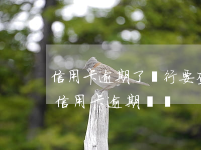 信用卡逾期了銀行要查交易記錄(征信報告上信用卡逾期記錄)