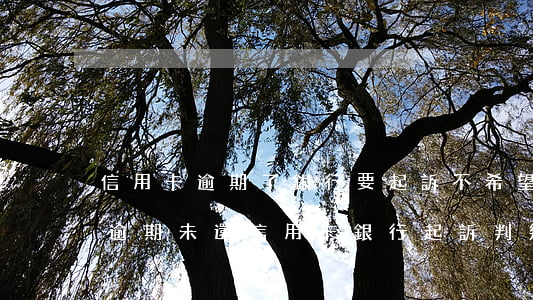 信用卡逾期了銀行要起訴不希望上門怎么辦 逾期未還信用卡,銀行起訴判幾年