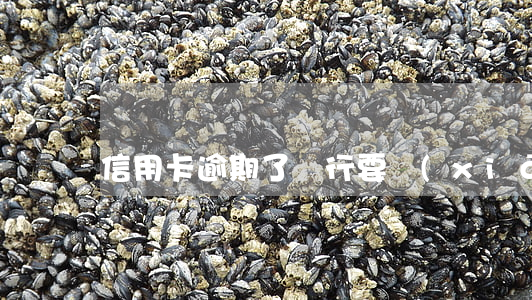 信用卡逾期了銀行要銷(xiāo)卡怎么辦