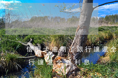 信用卡逾期了銀行讓還全部(信用卡逾期了銀行讓還全部利息)