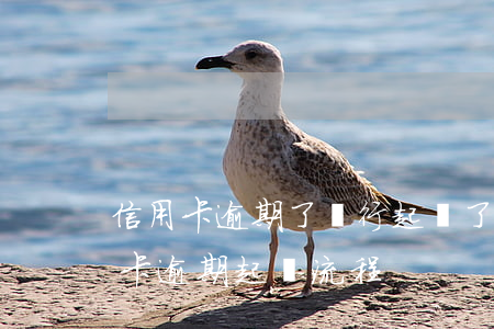 信用卡逾期了銀行起訴了要多久(銀行對信用卡逾期起訴流程)