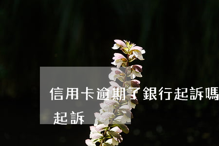 信用卡逾期了銀行起訴嗎(信用卡逾期會不會起訴)