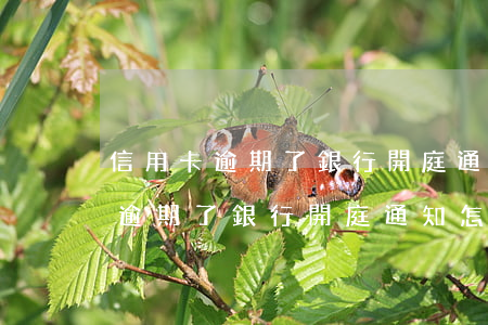 信用卡逾期了銀行開庭通知怎么辦-信用卡逾期了銀行開庭通知怎么辦理
