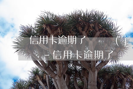 信用卡逾期了錢還進(jìn)去了還能用嗎-信用卡逾期了錢還進(jìn)去了還能用嗎怎么辦