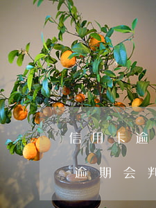 信用卡逾期了银行会罚息吗-银行的信用卡逾期会判刑吗