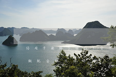 信用卡逾期了银行卡会冻结吗（信用卡只要逾期就会被冻结吗）