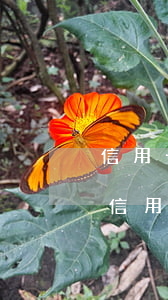 信用卡逾期了,银行报案公安局会打电话吗-信用卡逾期了,银行报案公安局会打电话吗