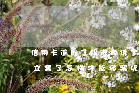 信用卡逾期了银行撤诉了(信用卡逾期被法院立案了,怎样才能撤案呢)