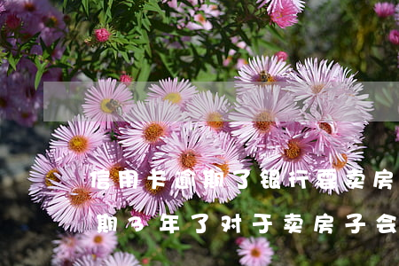 信用卡逾期了银行要卖房子吗-欠信用卡逾期3年了,对于卖房子会有影响吗