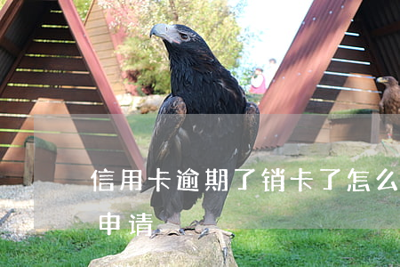 信用卡逾期了销卡了怎么办 逾期销卡后来又申请