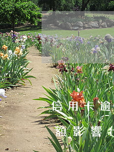 信用卡逾期了降額影響什么(信用卡逾期了降額影響什么)