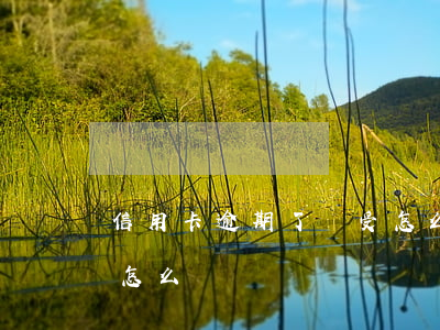 信用卡逾期了難受怎么辦 信用卡逾期了難受怎么辦