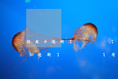 信用卡逾期了電話關機了有什么后果-信用卡逾期了電話關機了有什么后果