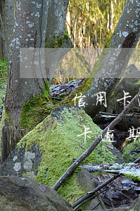 信用卡逾期了需要去處理嗎(去銀行處理信用卡逾期需要注意什么)